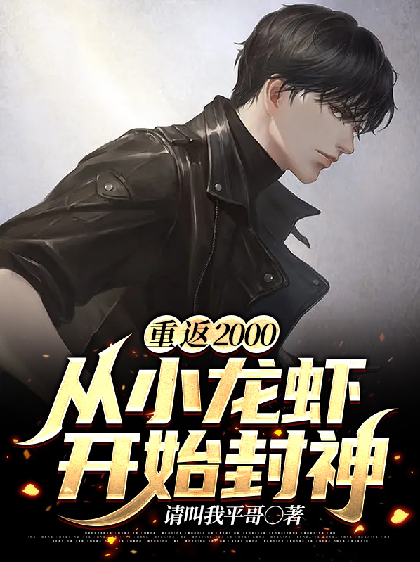 重返2000又名