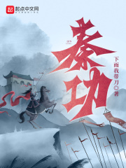 秦功笔趣阁