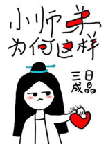 小师弟为何这样百度网盘