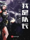 英雄联盟之我是队长小说