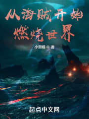 从海贼开始燃烧世界TXT下载