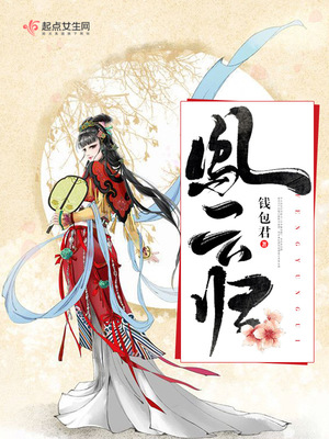 凤归云小说