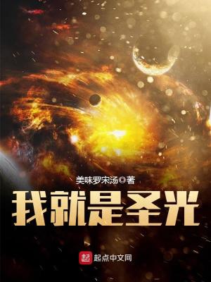 我是圣光使徒