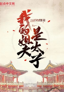 我的姐夫是太子小说TXT下载