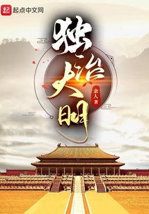 独治大明无防盗