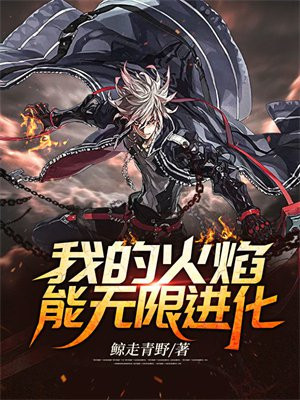 全职法师:我的火焰无限进化
