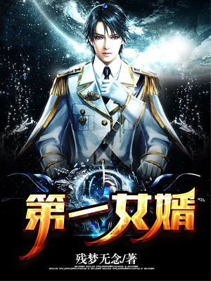 第一女婿免费阅读笔趣阁