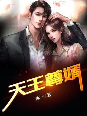 天王帝婿免费