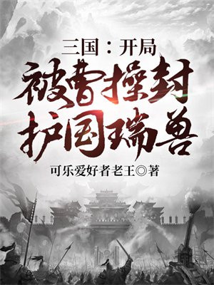 三国:开局成为曹操的头号保镖