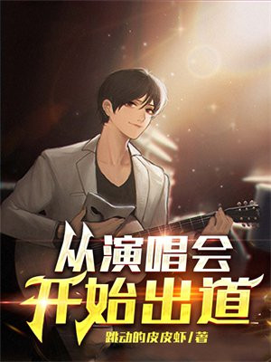 从演唱会开始出道袁峰