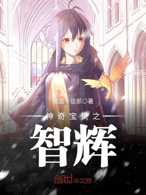 神奇宝贝之智辉小说免费阅读