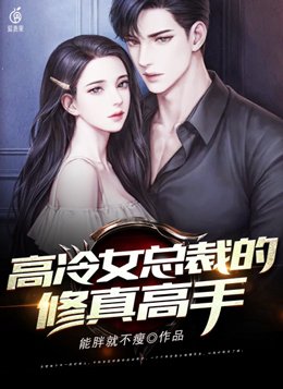 高冷女总裁的修真高手续集