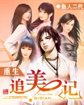重生追美记小说