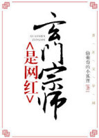 玄门宗师是网红百度云