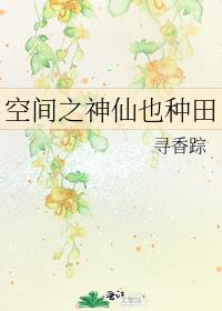 空间之神仙也种田宝书网