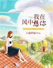 我在风中想你原唱