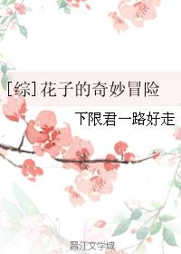 花子的奇妙冒险百度云