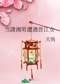 当潇湘男遭遇晋江女男主
