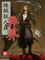 练级狂人在异界 网络黑侠