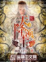 天降领主 小说