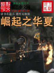 崛起之华夏精校版