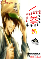 一拳奶爸 小说