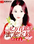 亿万首席的蜜宠宝贝小说