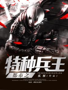 都市之特种兵王叶风小说