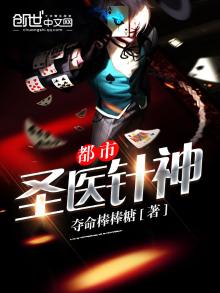 都市圣医针神 小说