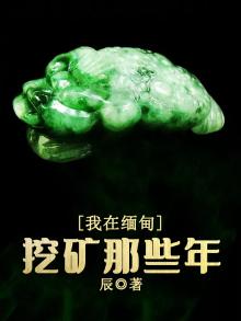 我在缅甸挖矿那些年TXT下载