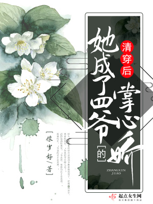清穿后她成了四爷的掌心娇 百度云