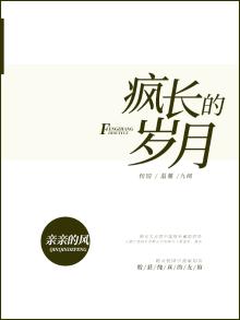 疯长岁月的唯美句子