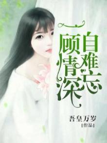 一顾情深不悲欢小说