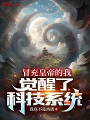 冒充皇子的小说