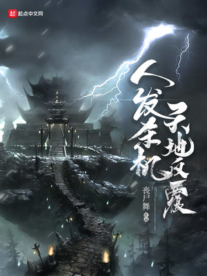 天发杀机天地反覆小说