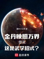 金丹境界都有什么能力