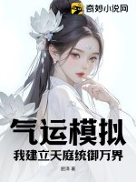 气运系统小说