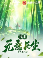 我本无意长生精校下载