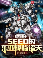 从高达seed的东亚降临诸天 小说