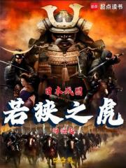 日本战国:若狭之虎的崛起小说