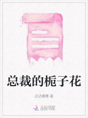 总裁的栀子花