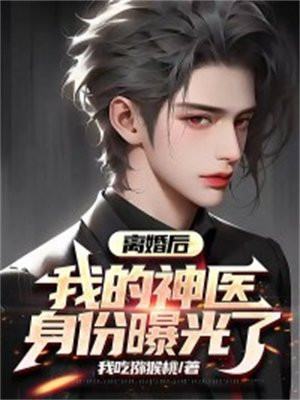 离婚后,我的神医身份曝光了洛雷