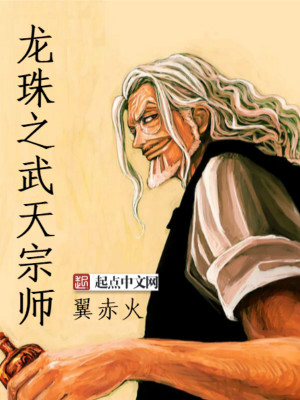 龙珠之武天宗师TXT校对