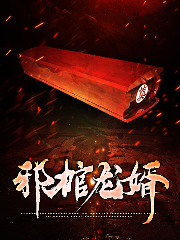 邪棺龙婿百度百科