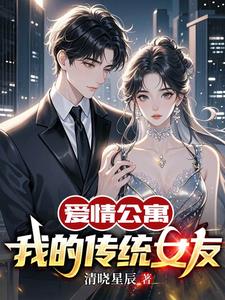 爱情公寓:我的传统女友小说