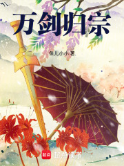 万剑归宗视频