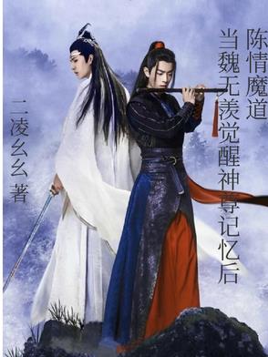 陈情魔道:当魏无羡觉醒神尊记忆小说