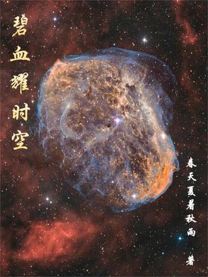 碧血书香梦5