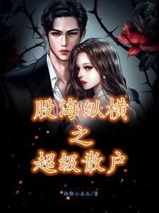 纵横股海软件