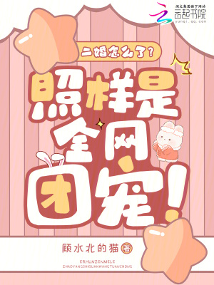 二婚又如何小说